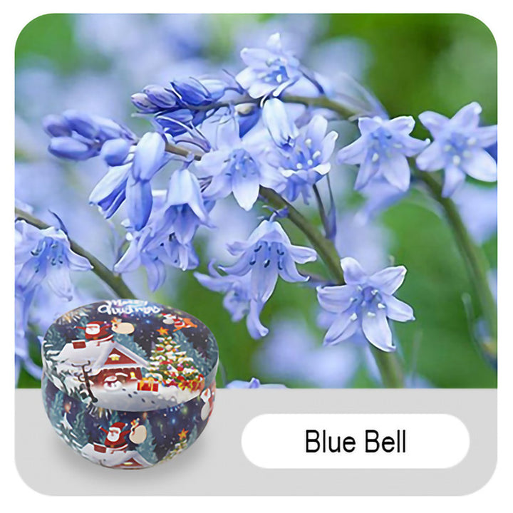 2024 christmas gift tin blue bell aromatherapy scented candle gift box