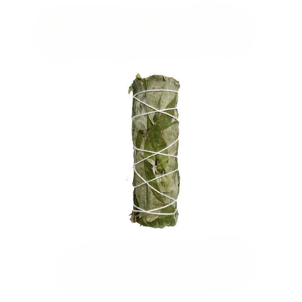 4 inch eucalyptus smudge sticks incense wands