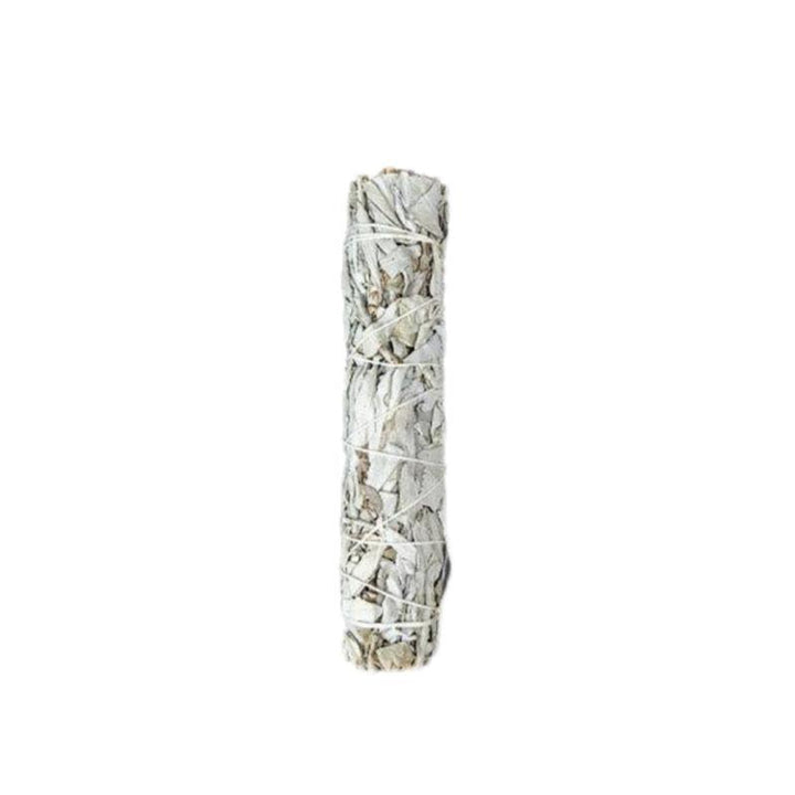 fresh california white sage smudge sticks wand sage