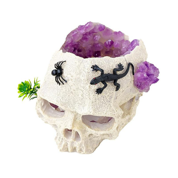 halloween natural amethyst cluster gothic skull decor